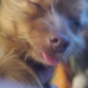 Meet your Posher, jilldeAnn